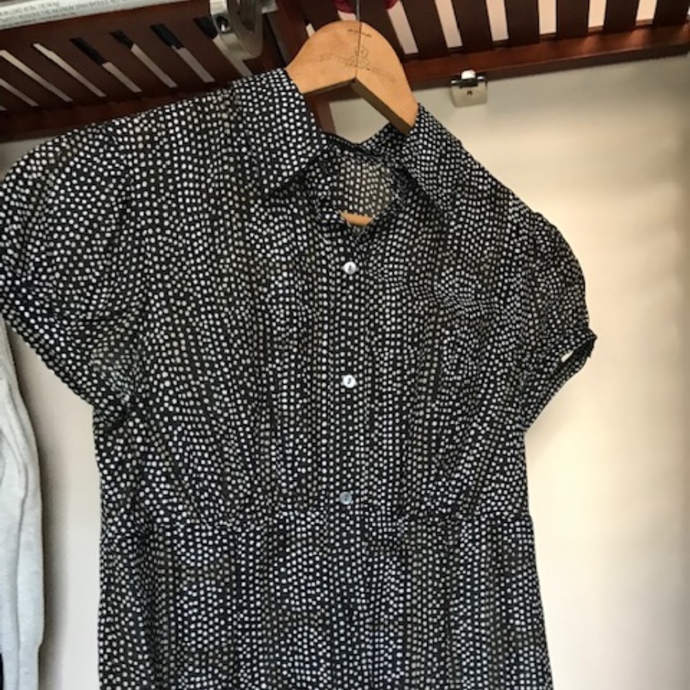 The Limited Blouse